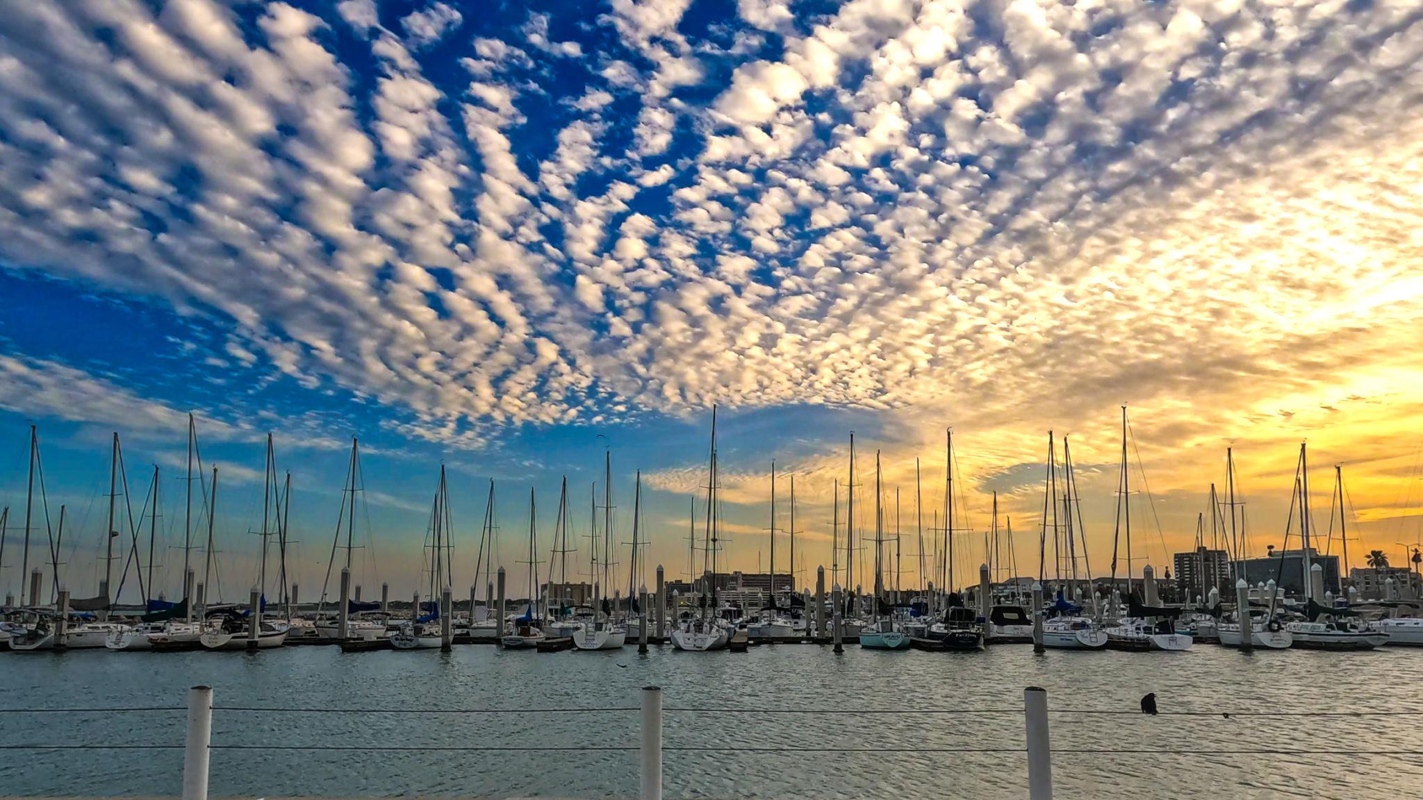 Sailboats