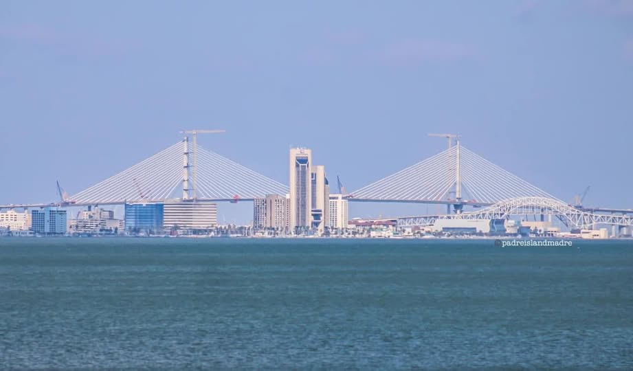 new harbor bridge
